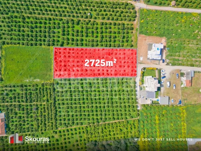 Οικόπεδο 2725τ.μ.  - 2