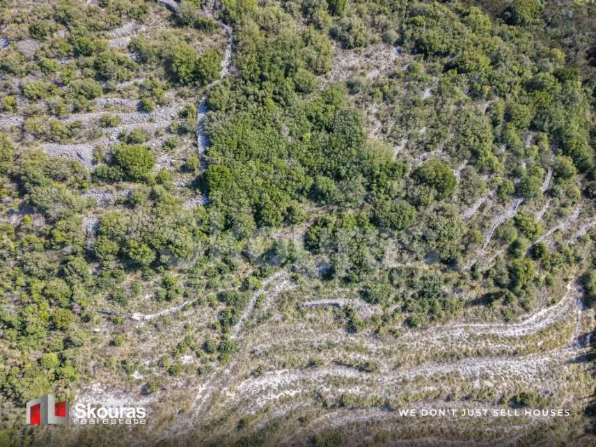 Land Parcel 5894m²  - 4