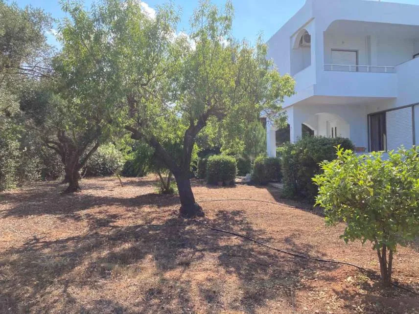 Detached house 172m²  - 2