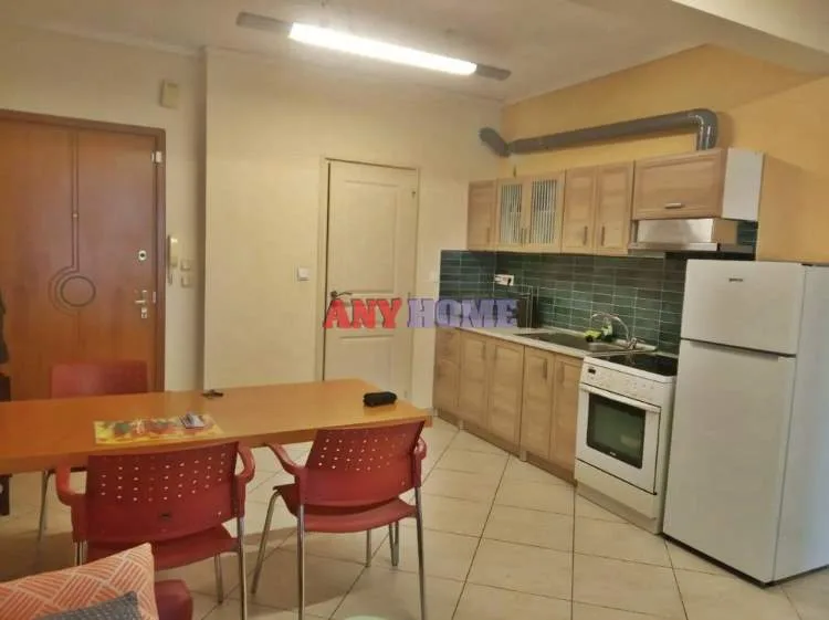 Studio 55m²  - 3