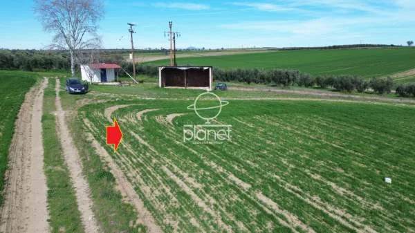 Land Parcel 20600m²  - 3