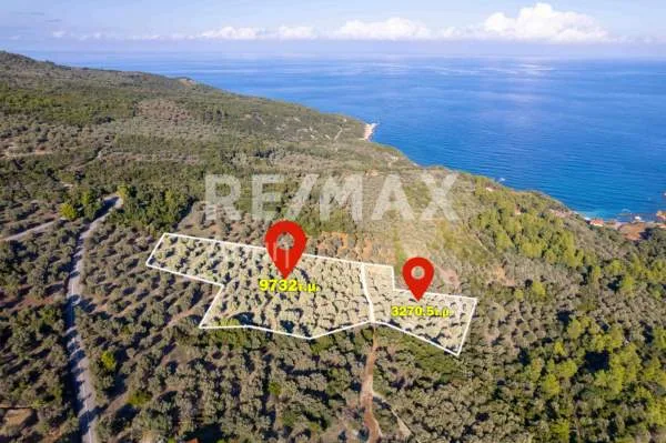 Αγροτεμάχιο 9732τ.μ.  - 3