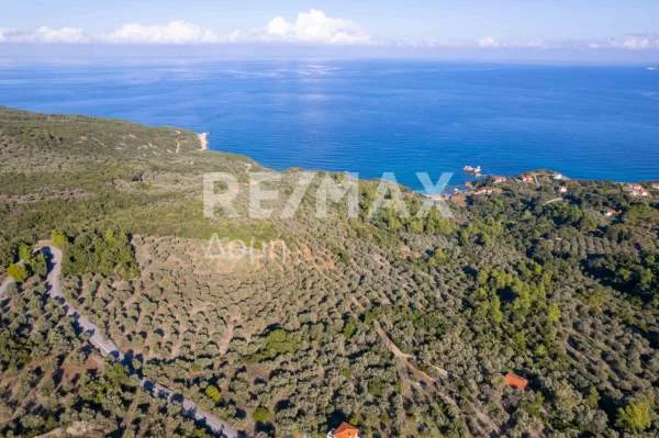 Αγροτεμάχιο 9732τ.μ.  - 4