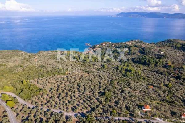 Αγροτεμάχιο 9732τ.μ.  - 5