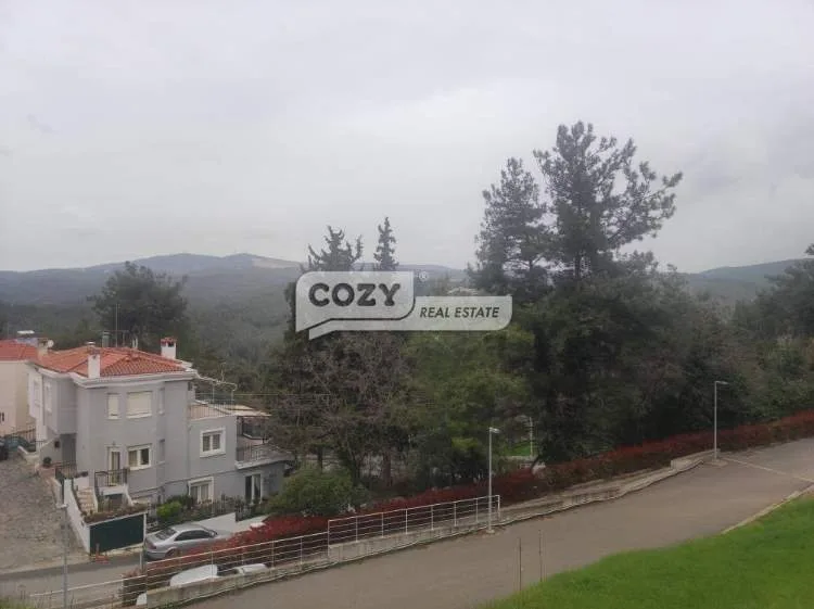 Οικόπεδο 1240τ.μ.  - 4