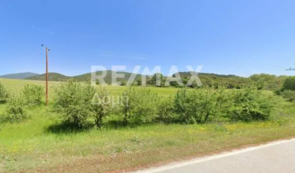 Land Parcel 32000m²  - 2