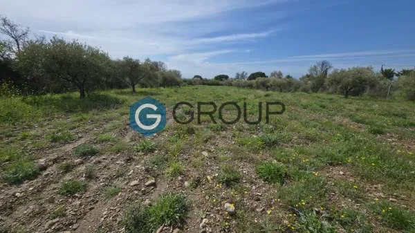 Αγροτεμάχιο 3839τ.μ.  - 3
