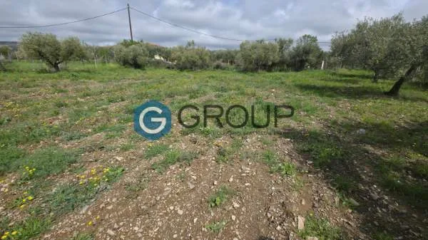 Αγροτεμάχιο 3839τ.μ.  - 5
