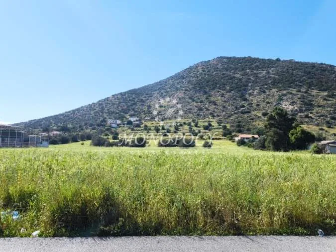Αγροτεμάχιο 27500τ.μ.  - 2