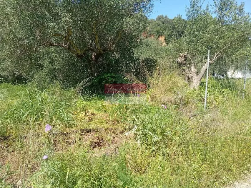 Land Parcel 11070m²  - 2