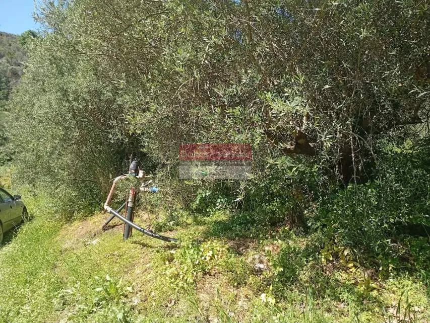 Land Parcel 11070m²  - 3