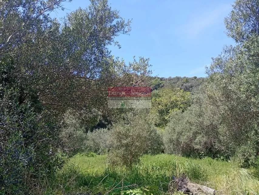 Land Parcel 11070m²  - 4
