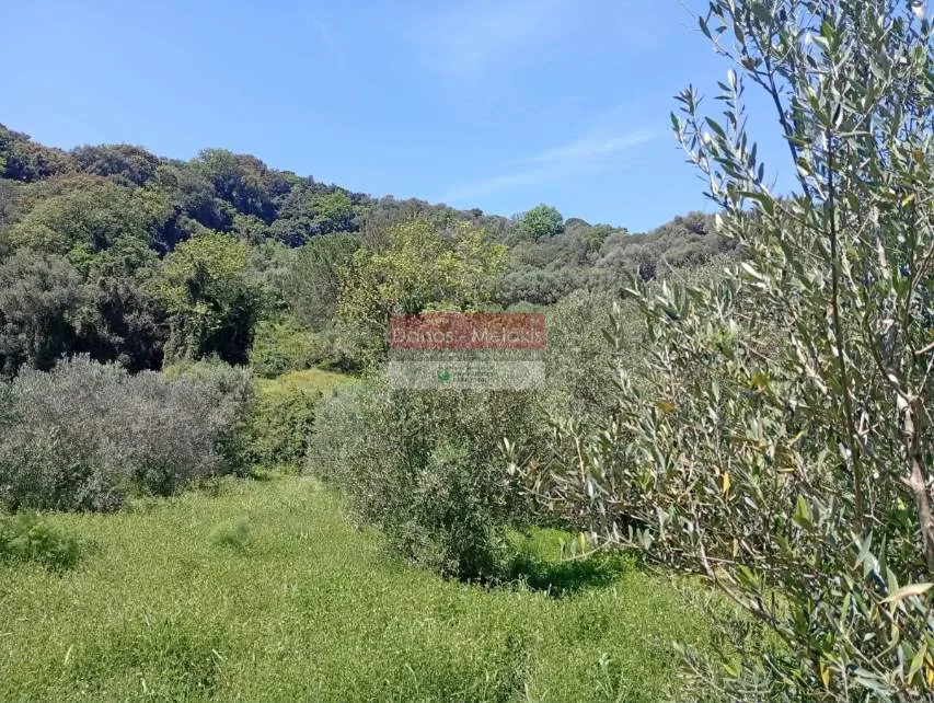 Land Parcel 11070m²  - 5
