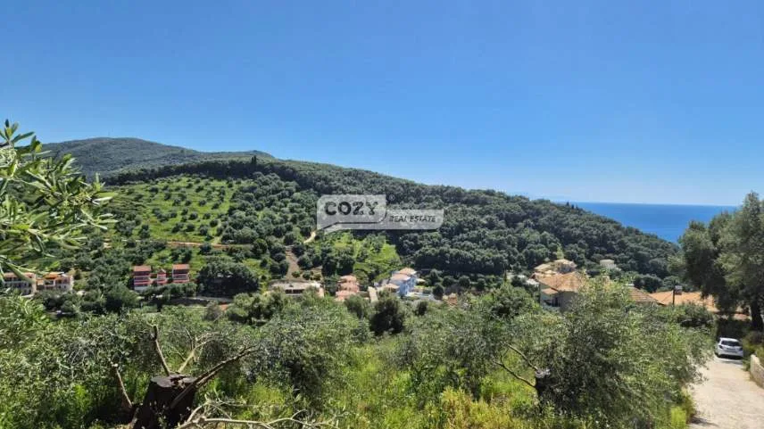 Αγροτεμάχιο 4001τ.μ.  - 2