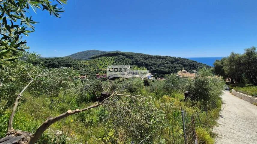 Αγροτεμάχιο 4001τ.μ.  - 3