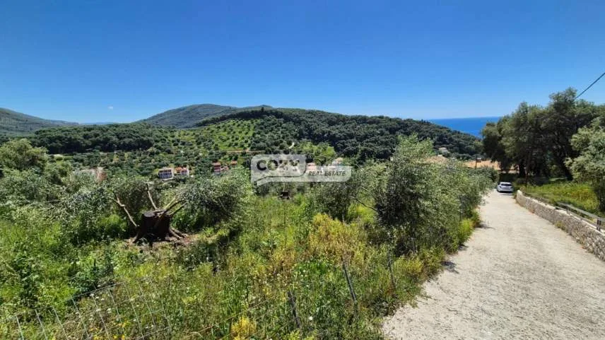 Αγροτεμάχιο 4001τ.μ.  - 5