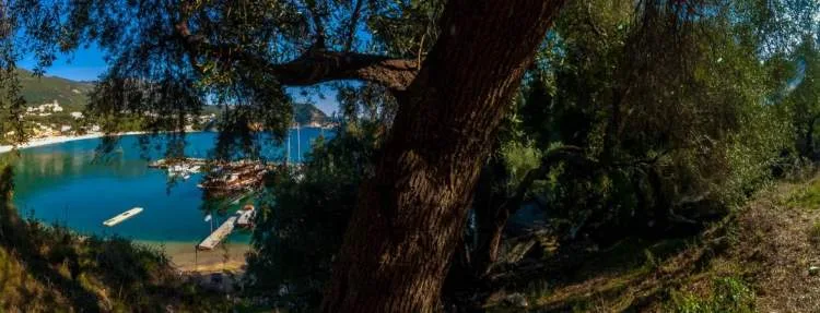 Οικόπεδο 6300τ.μ.  - 3