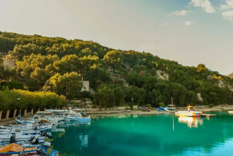 Οικόπεδο 6300τ.μ.  - 5