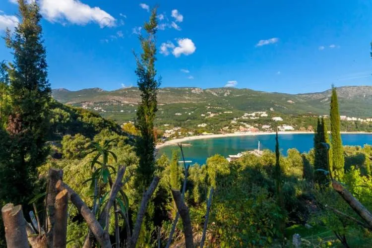 Αγροτεμάχιο 4000τ.μ.  - 3
