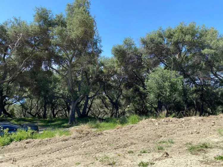 Οικόπεδο 2455τ.μ.  - 4