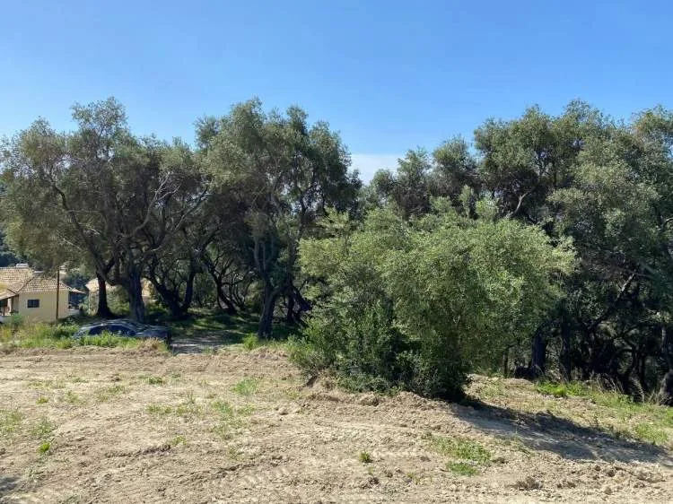 Οικόπεδο 2455τ.μ.  - 5