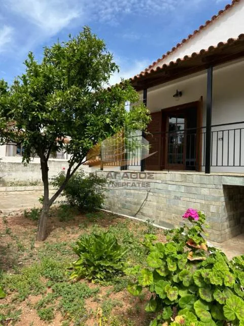 Detached house 210m²  - 2