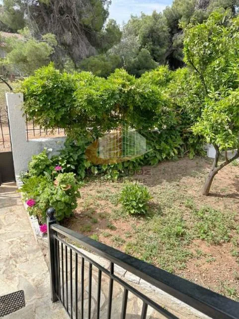 Detached house 210m²  - 4