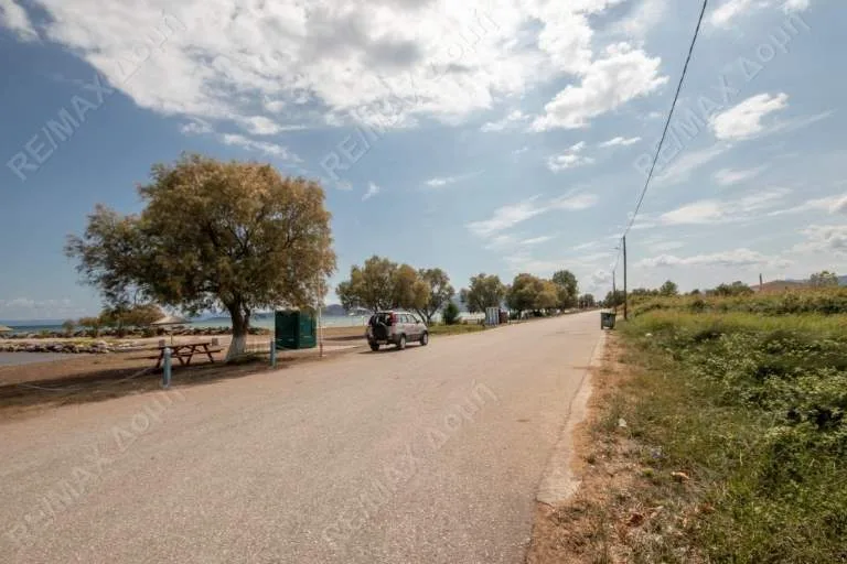 Αγροτεμάχιο 4032τ.μ.  - 4