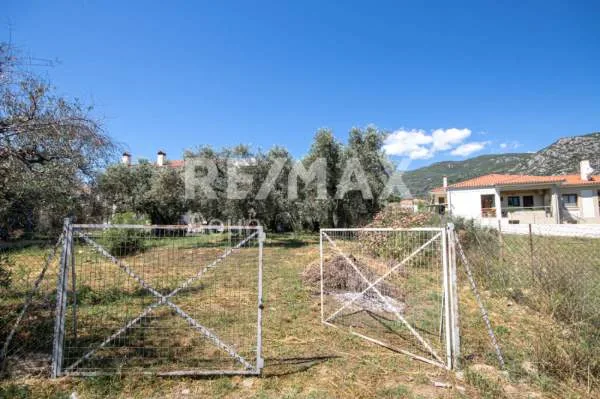 Οικόπεδο 585τ.μ.  - 3