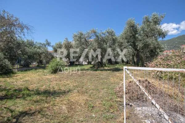 Οικόπεδο 585τ.μ.  - 4