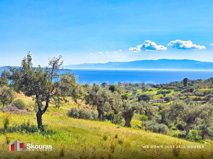 Αγροτεμάχιο 4100τ.μ.  - 3
