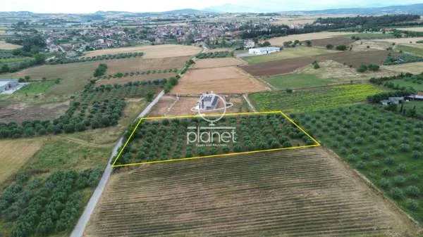 Land Parcel 4780m²  - 4