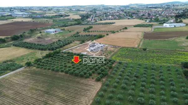 Land Parcel 4780m²  - 5