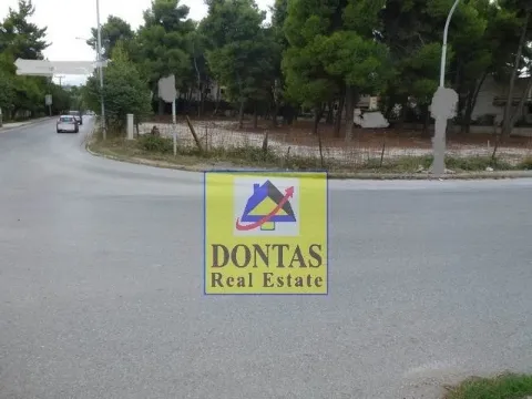Οικόπεδο 3927τ.μ.  - 5