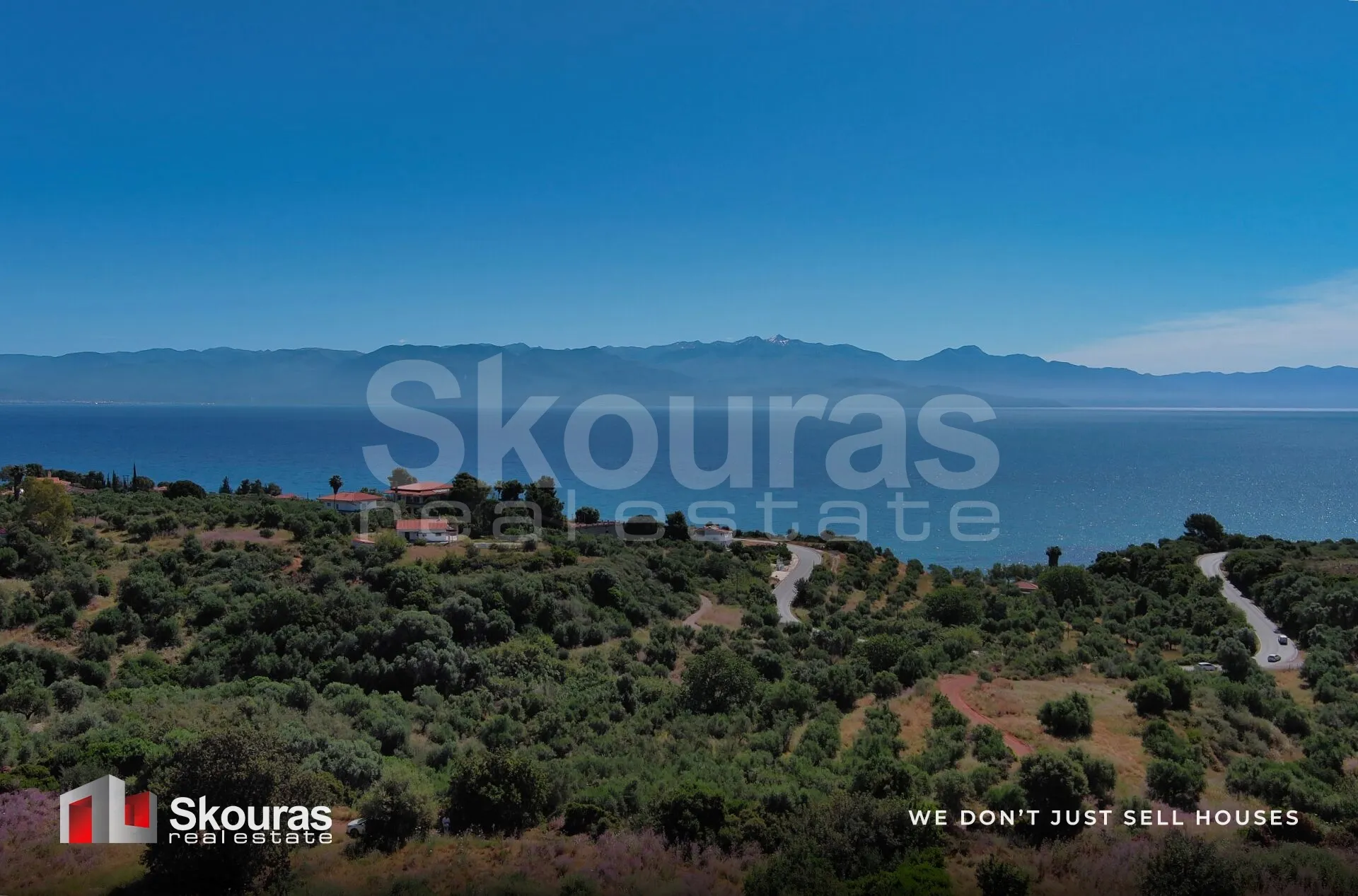 Plot 7419m²  - 5