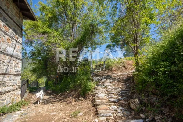 Οικόπεδο 1205τ.μ.  - 2