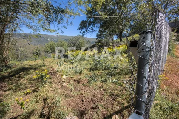 Οικόπεδο 1205τ.μ.  - 3