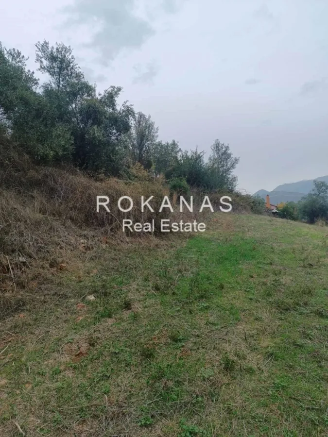 Αγροτεμάχιο 3128τ.μ.  - 3