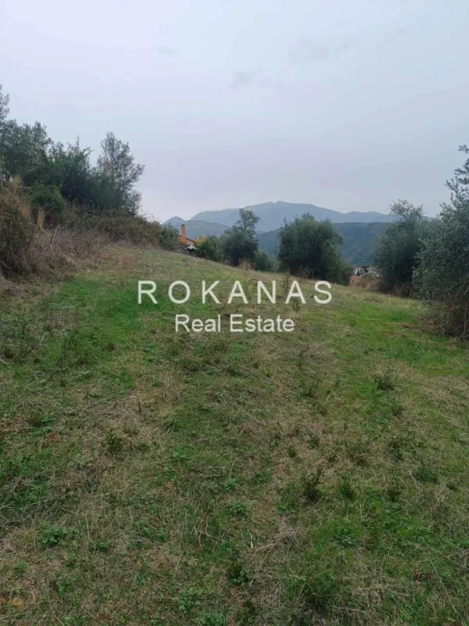 Αγροτεμάχιο 3128τ.μ.  - 4