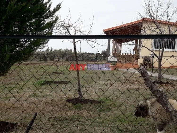 Διαμέρισμα 75τ.μ.  - 3