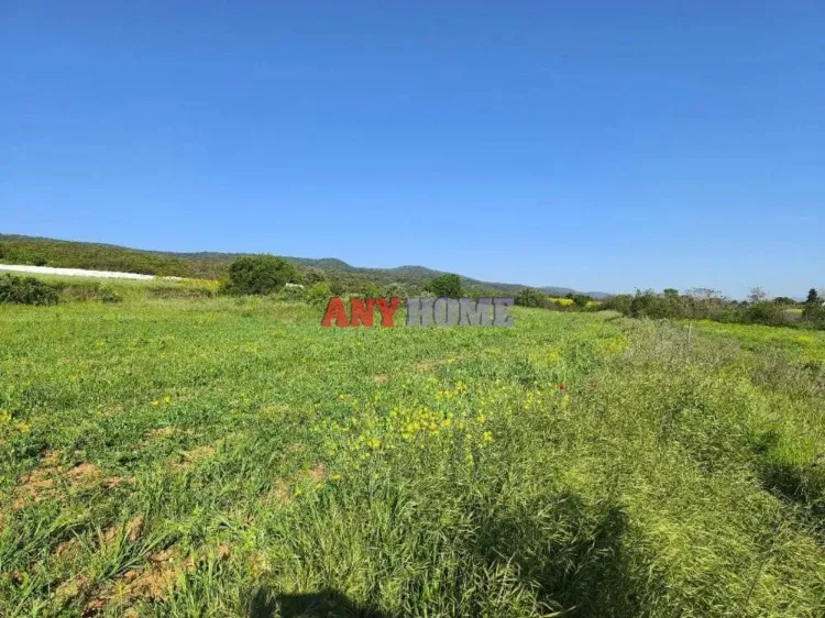 Land Parcel 11388m²  - 3