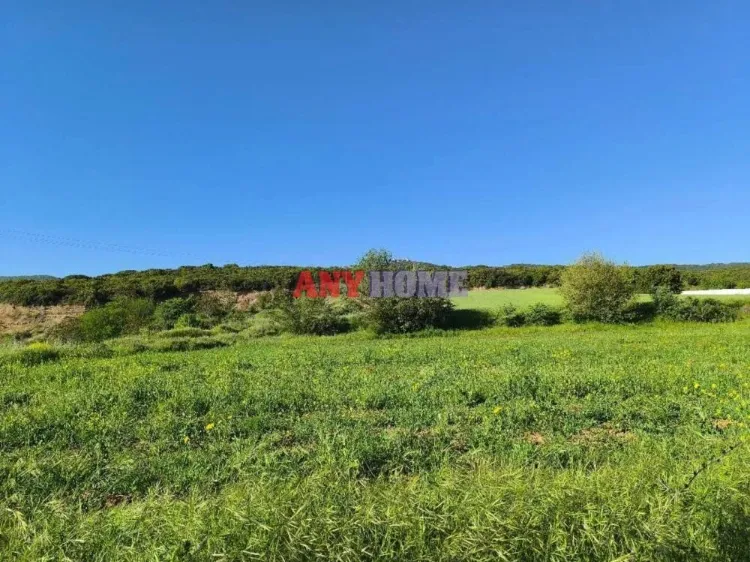 Land Parcel 11388m²  - 4