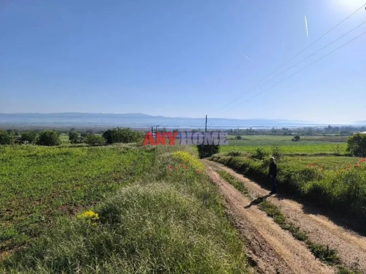 Land Parcel 11388m²  - 5