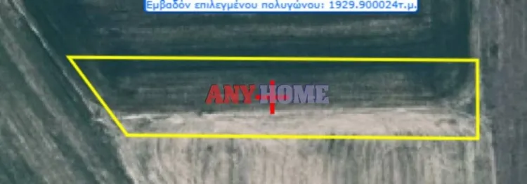 Αγροτεμάχιο 18561τ.μ.  - 2