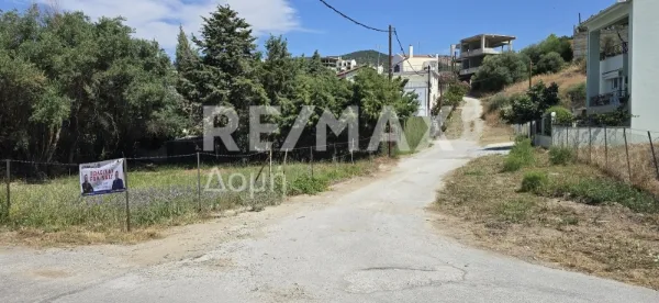 Οικόπεδο 349τ.μ.  - 3