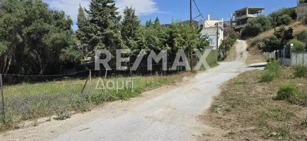 Οικόπεδο 349τ.μ.  - 4