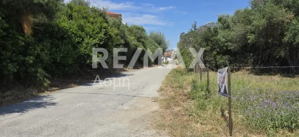 Οικόπεδο 349τ.μ.  - 5