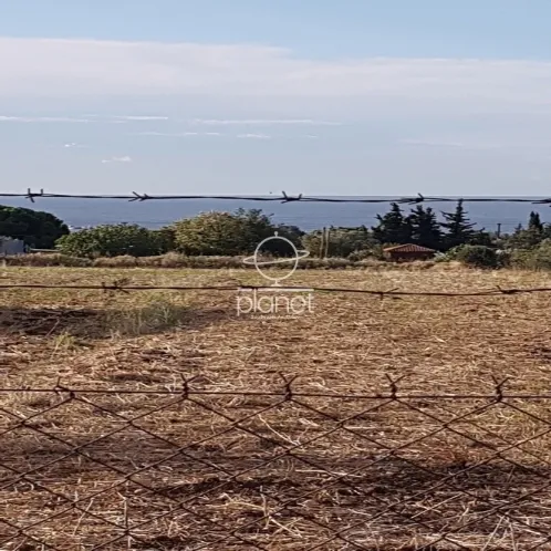 Land Parcel 6000m²  - 3