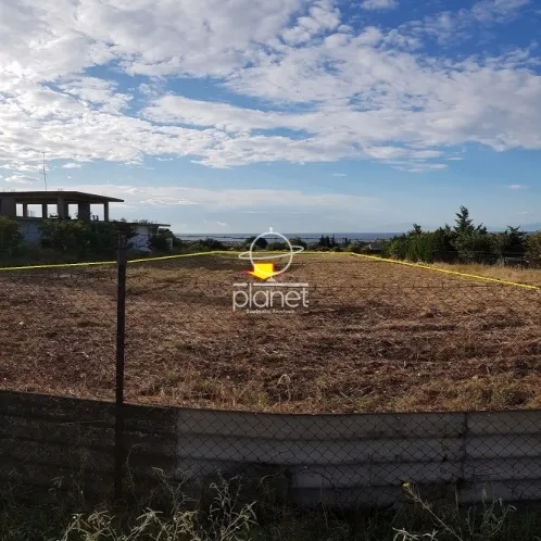 Land Parcel 6000m²  - 4