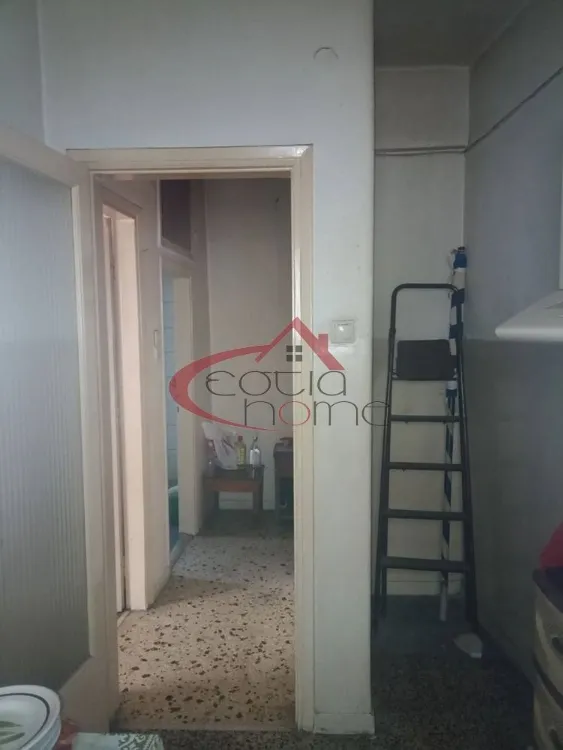 Studio 46m²  - 5